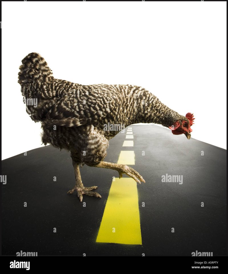 Netherlands - chicken road casino